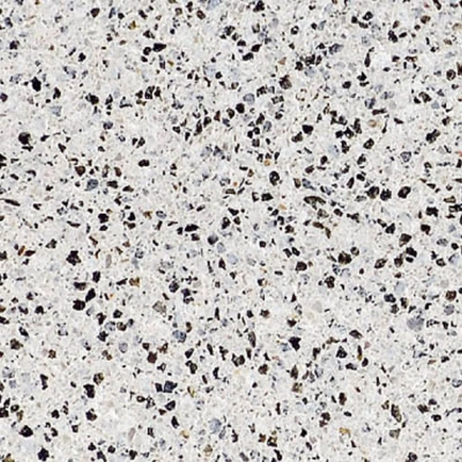 Semmelrock La Linia Lap gránitszürke 40x40x3,8 cm