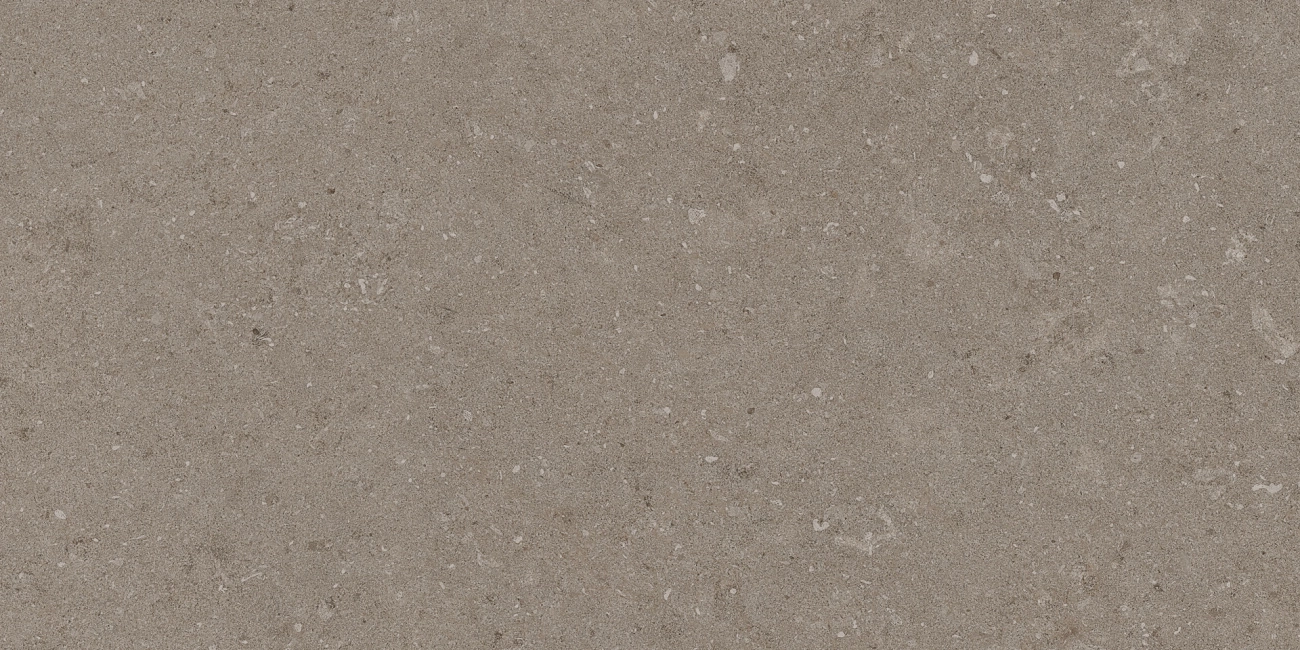Natural Taupe 30x60