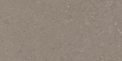 Natural Taupe 30x60